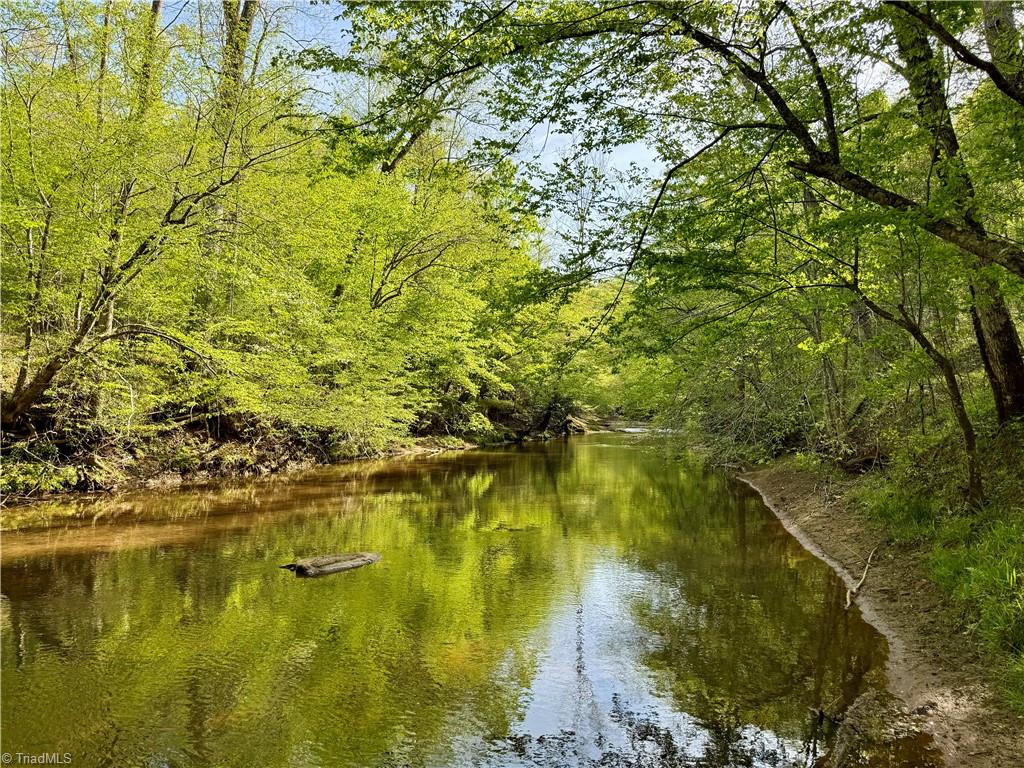 0 Otis Woods Road Sandy Ridge, NC 27046 - Photo 14 of 47