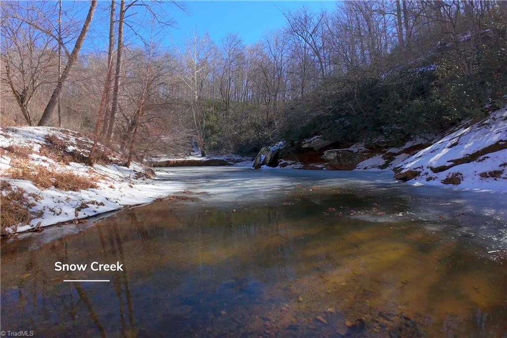 0 Otis Woods Road Sandy Ridge, NC 27046 - Photo 15 of 47