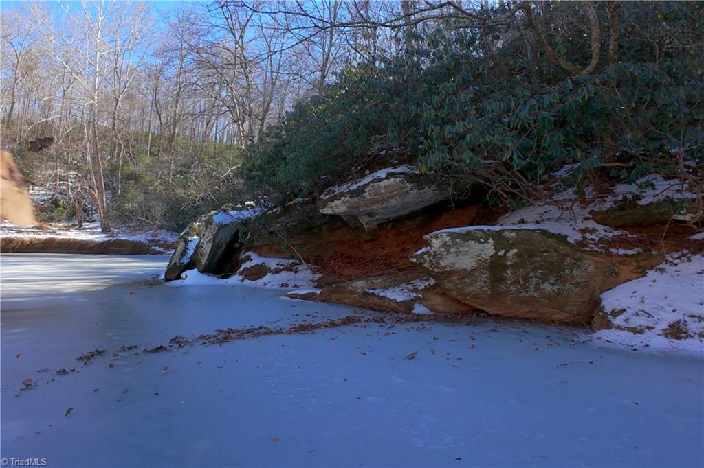 0 Otis Woods Road Sandy Ridge, NC 27046 - Photo 16 of 47