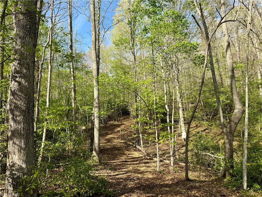 0 Otis Woods Road Sandy Ridge, NC 27046 - Photo 17 of 47