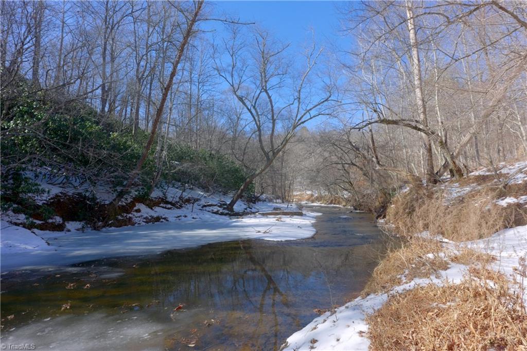 0 Otis Woods Road Sandy Ridge, NC 27046 - Photo 19 of 47