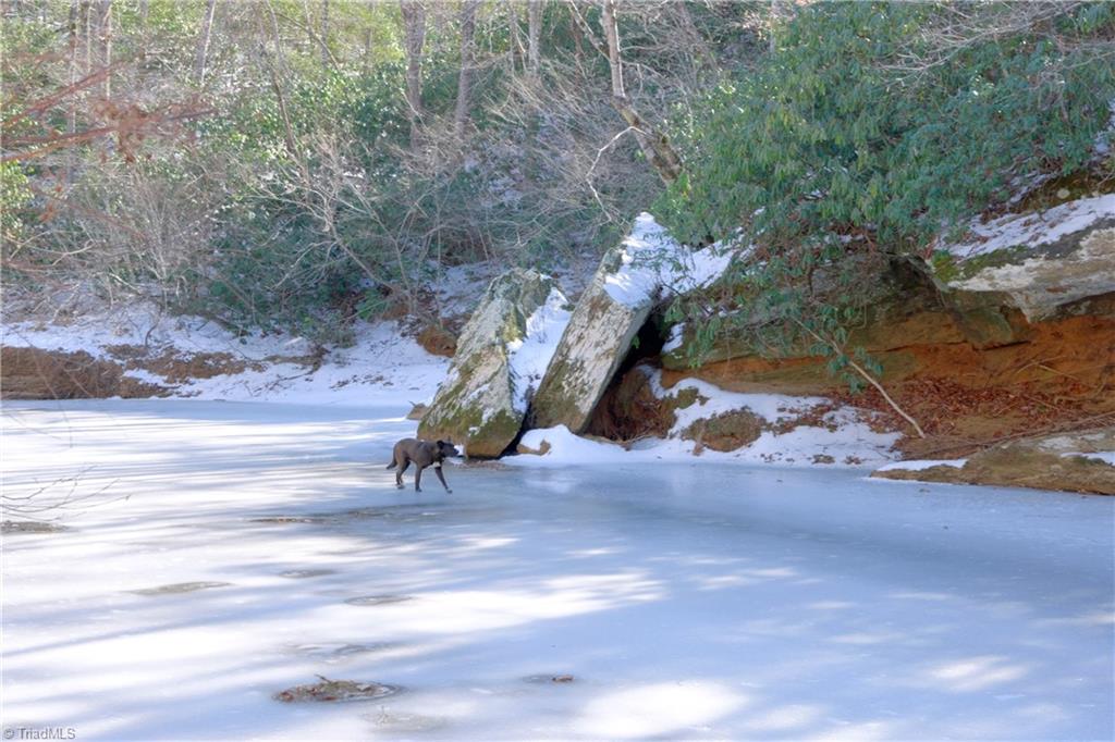 0 Otis Woods Road Sandy Ridge, NC 27046 - Photo 20 of 47