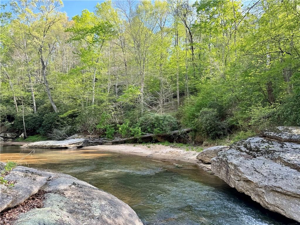 0 Otis Woods Road Sandy Ridge, NC 27046 - Photo 2 of 47