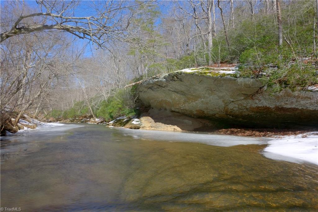 0 Otis Woods Road Sandy Ridge, NC 27046 - Photo 22 of 47
