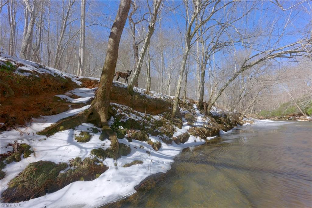 0 Otis Woods Road Sandy Ridge, NC 27046 - Photo 23 of 47