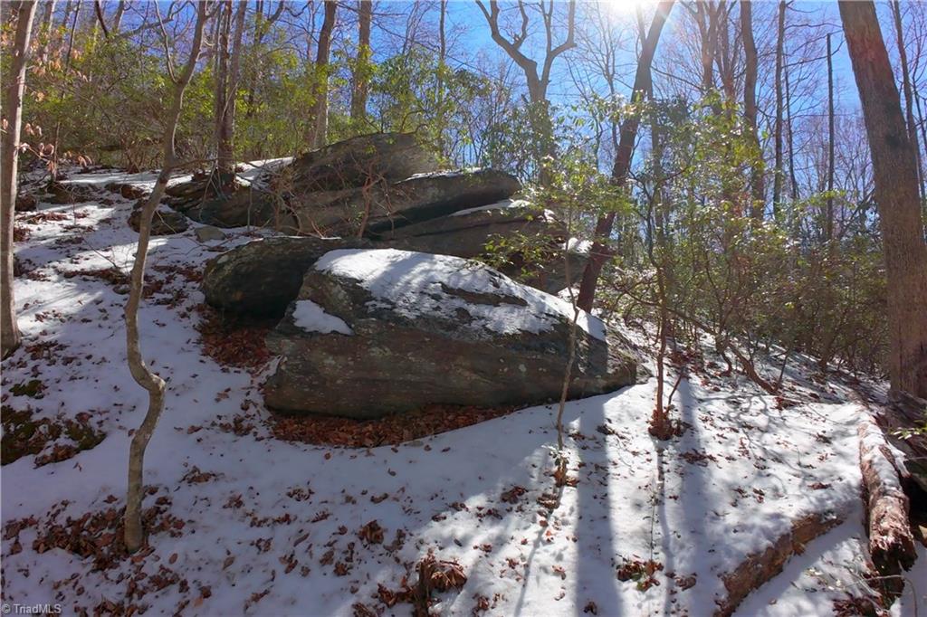 0 Otis Woods Road Sandy Ridge, NC 27046 - Photo 24 of 47