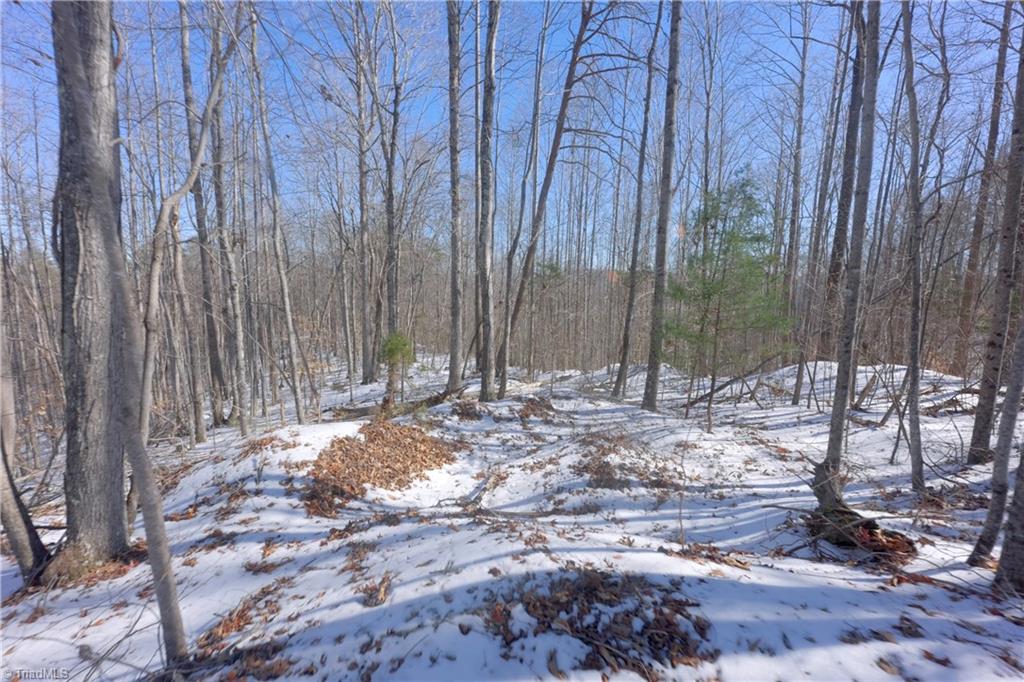 0 Otis Woods Road Sandy Ridge, NC 27046 - Photo 25 of 47