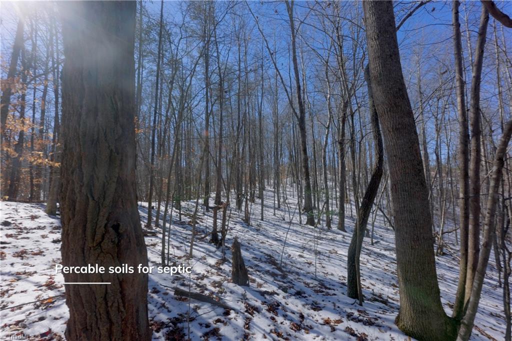 0 Otis Woods Road Sandy Ridge, NC 27046 - Photo 26 of 47