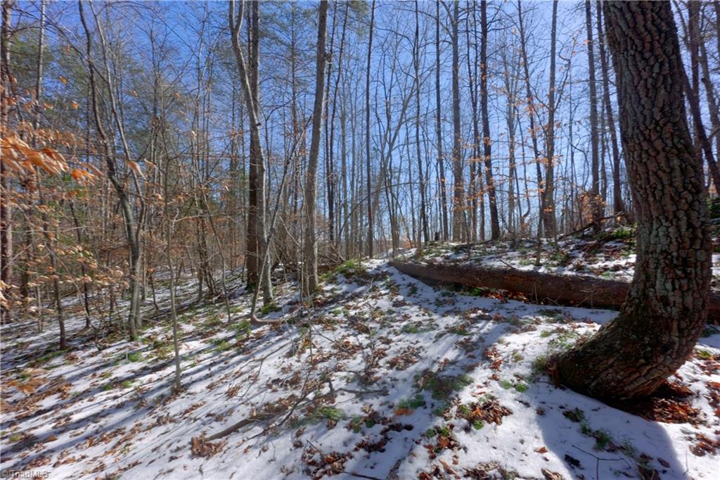 0 Otis Woods Road Sandy Ridge, NC 27046 - Photo 27 of 47