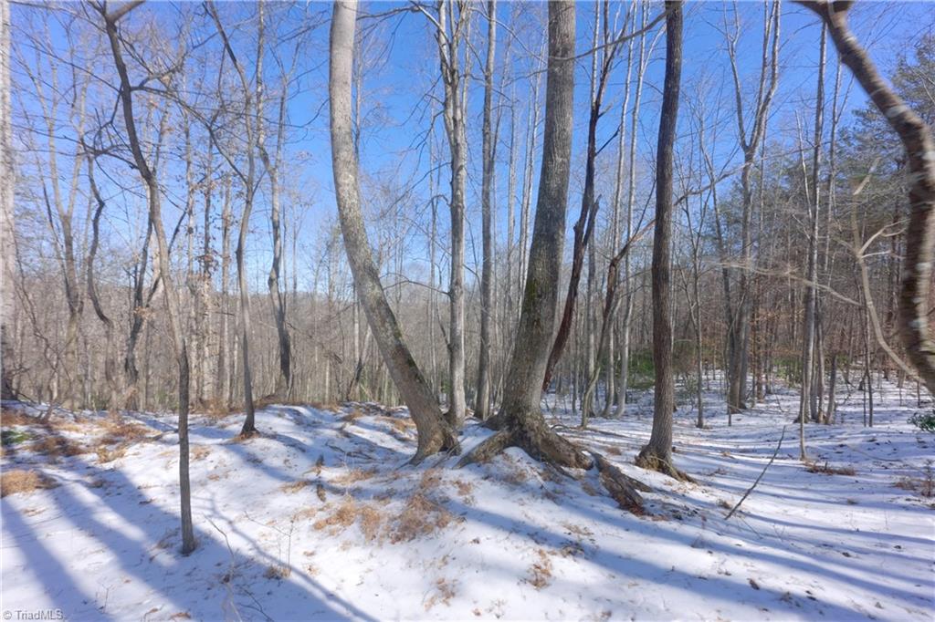 0 Otis Woods Road Sandy Ridge, NC 27046 - Photo 28 of 47