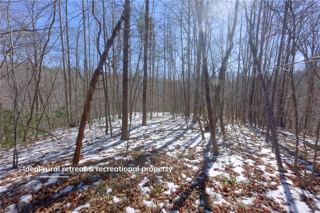 0 Otis Woods Road Sandy Ridge, NC 27046 - Photo 29 of 47