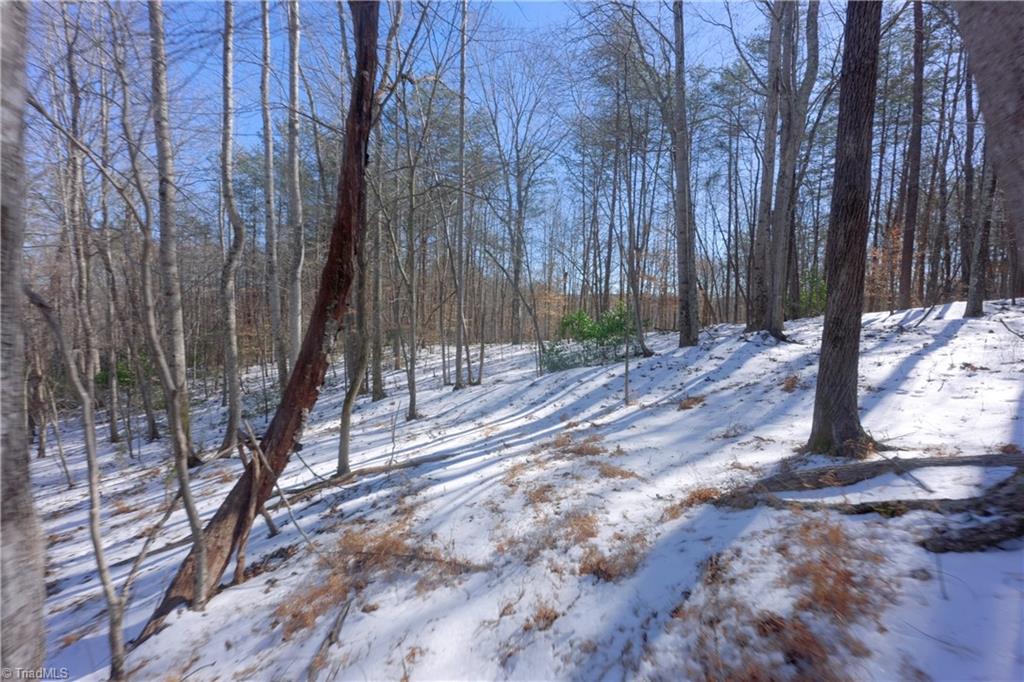 0 Otis Woods Road Sandy Ridge, NC 27046 - Photo 30 of 47