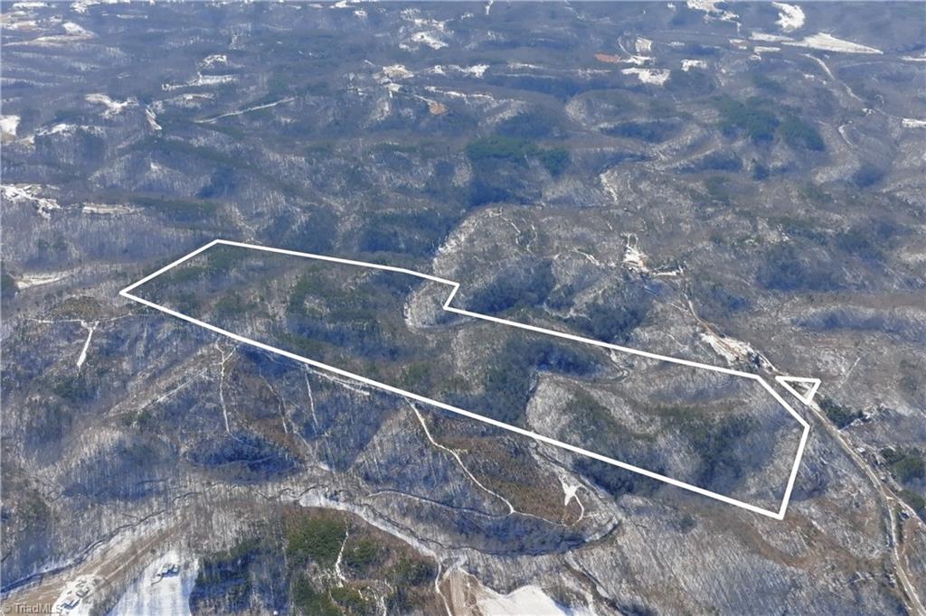 0 Otis Woods Road Sandy Ridge, NC 27046 - Photo 3 of 47