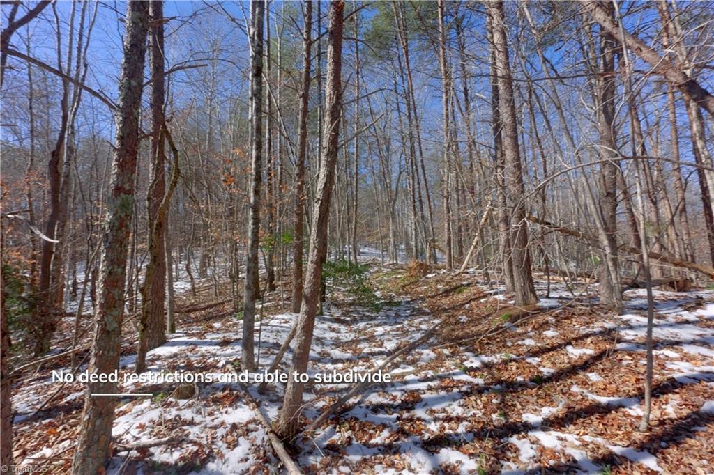 0 Otis Woods Road Sandy Ridge, NC 27046 - Photo 31 of 47