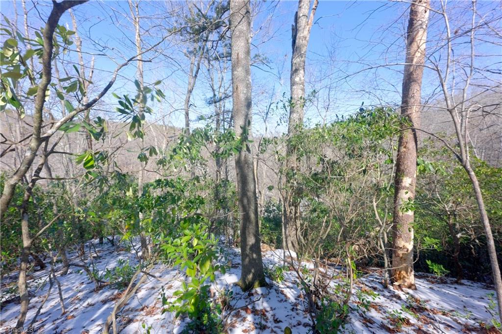 0 Otis Woods Road Sandy Ridge, NC 27046 - Photo 33 of 47