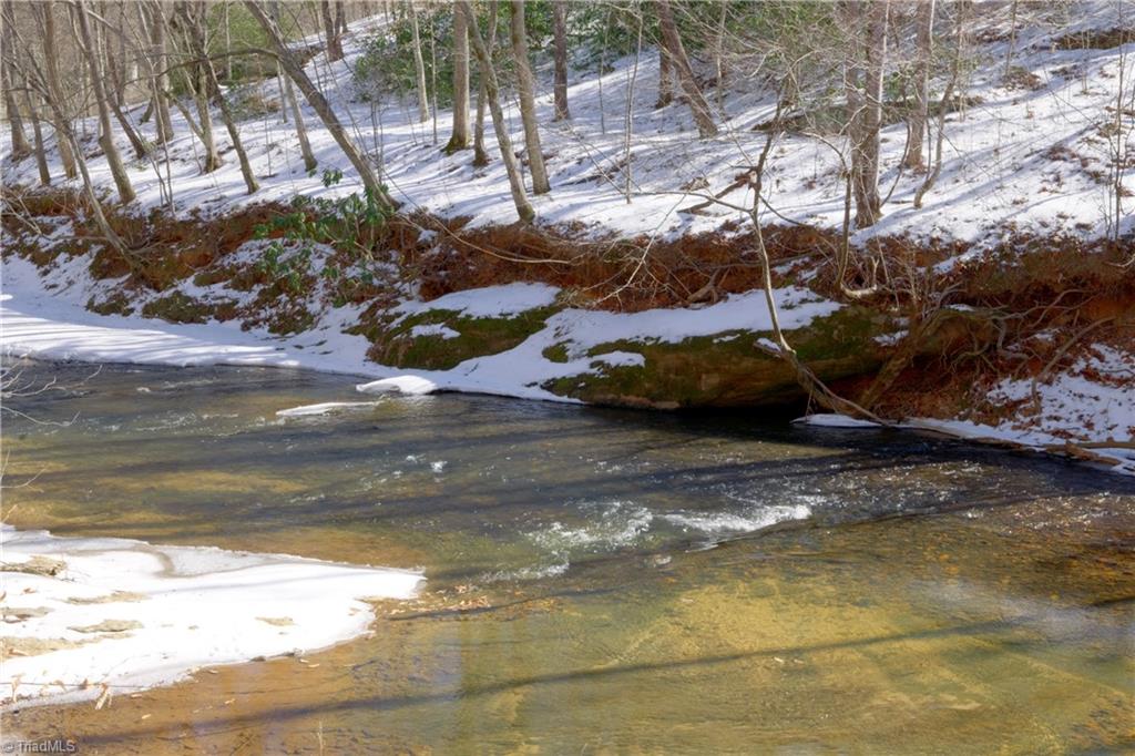 0 Otis Woods Road Sandy Ridge, NC 27046 - Photo 34 of 47