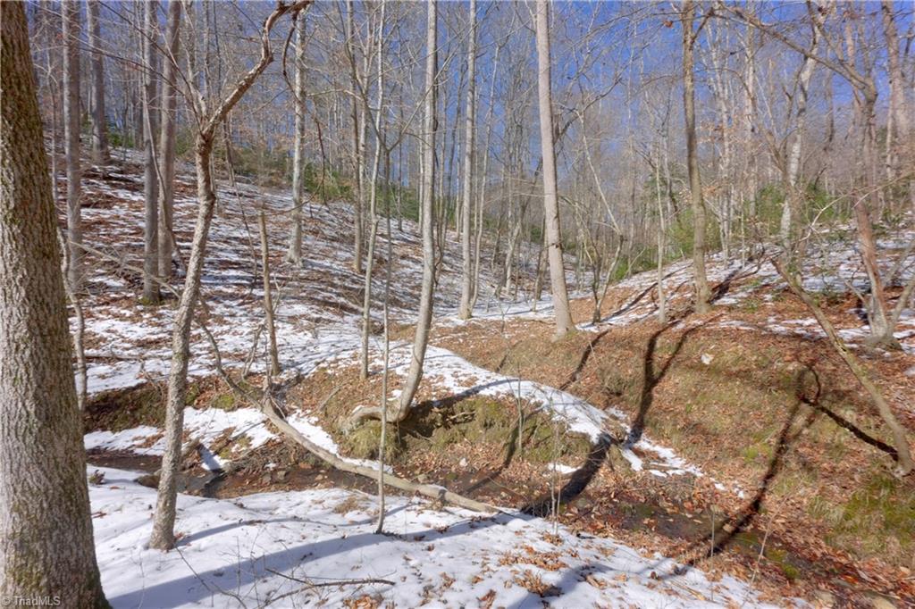 0 Otis Woods Road Sandy Ridge, NC 27046 - Photo 35 of 47