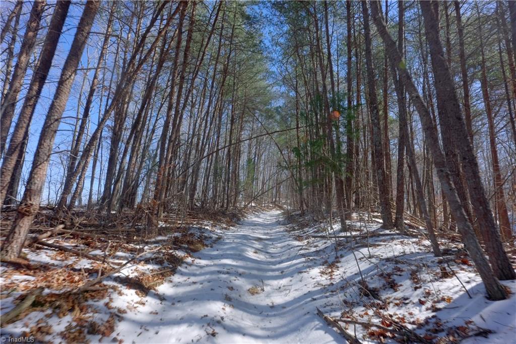 0 Otis Woods Road Sandy Ridge, NC 27046 - Photo 36 of 47