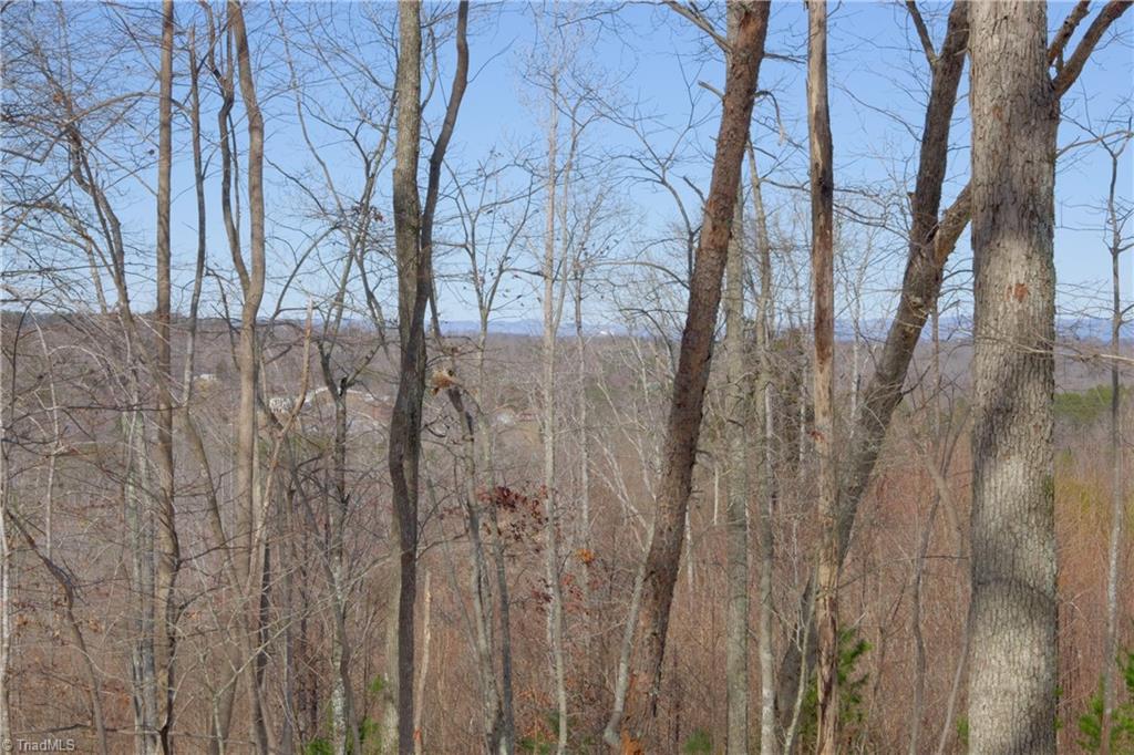 0 Otis Woods Road Sandy Ridge, NC 27046 - Photo 38 of 47