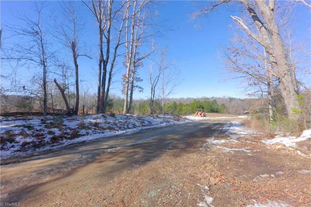0 Otis Woods Road Sandy Ridge, NC 27046 - Photo 40 of 47