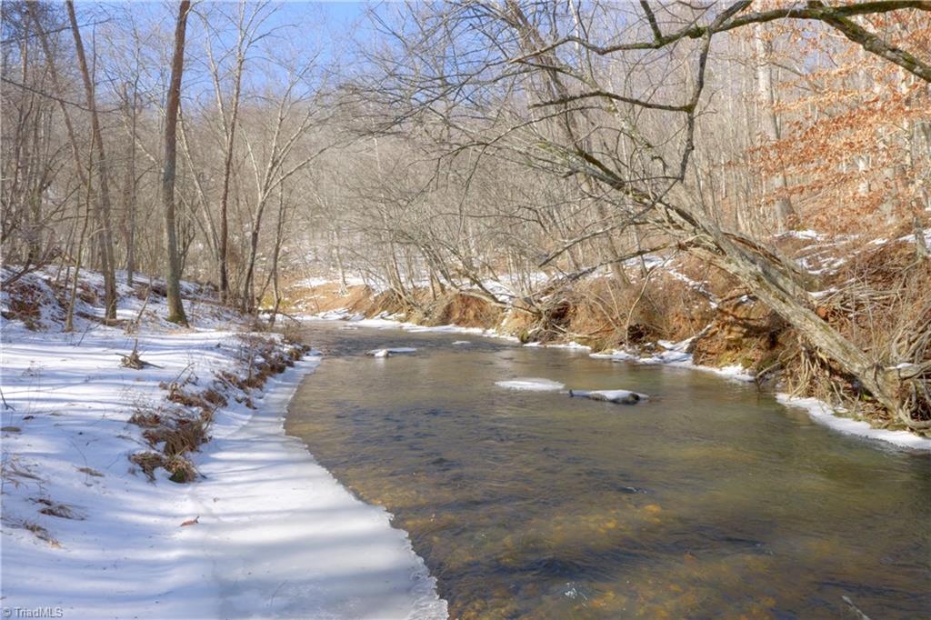 0 Otis Woods Road Sandy Ridge, NC 27046 - Photo 4 of 47