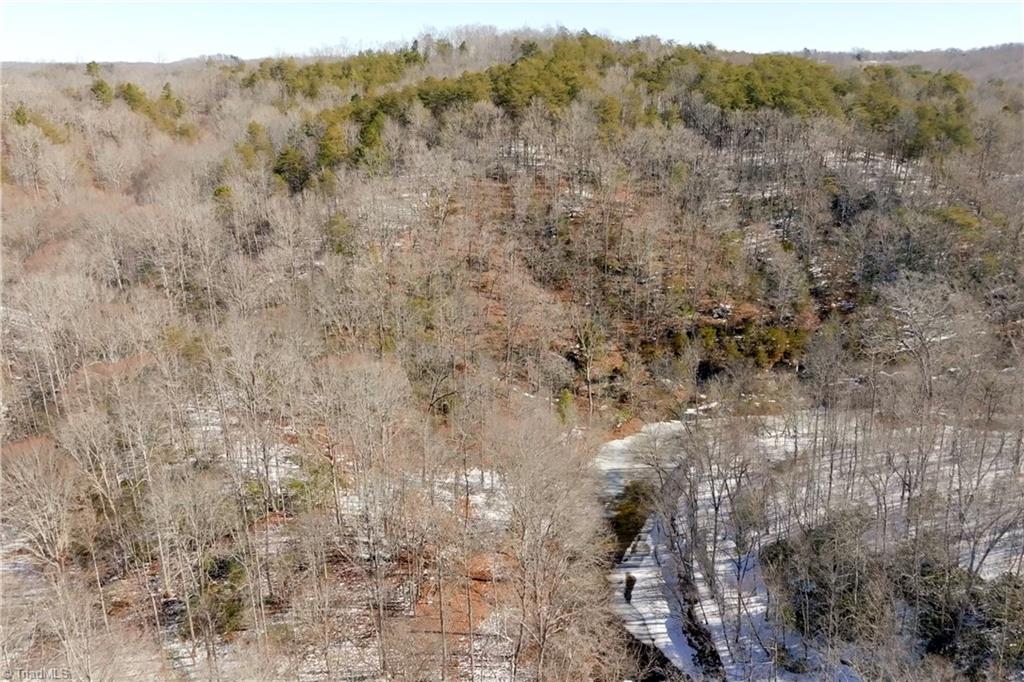 0 Otis Woods Road Sandy Ridge, NC 27046 - Photo 41 of 47