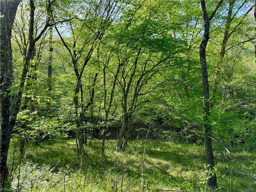 0 Otis Woods Road Sandy Ridge, NC 27046 - Photo 43 of 47