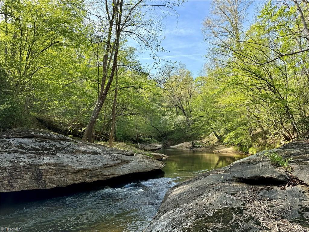 0 Otis Woods Road Sandy Ridge, NC 27046 - Photo 44 of 47