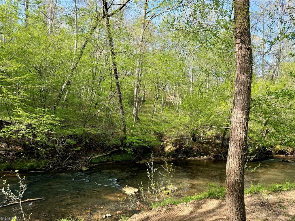 0 Otis Woods Road Sandy Ridge, NC 27046 - Photo 45 of 47