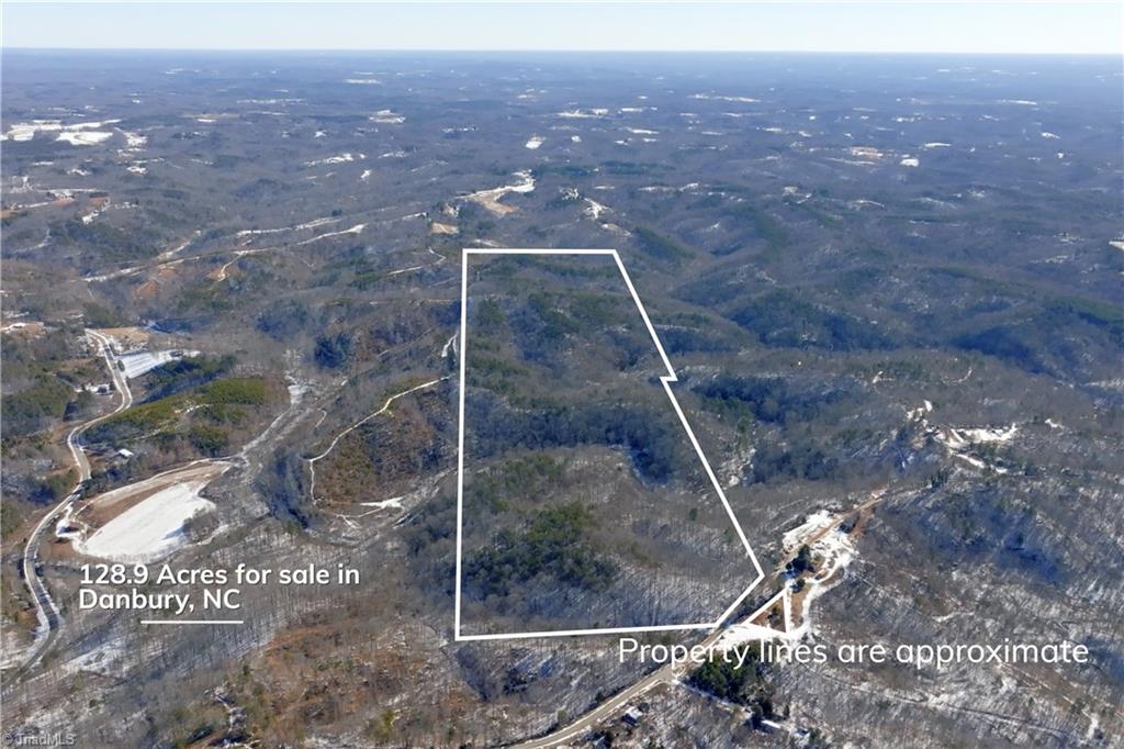 0 Otis Woods Road Sandy Ridge, NC 27046 - Photo 5 of 47