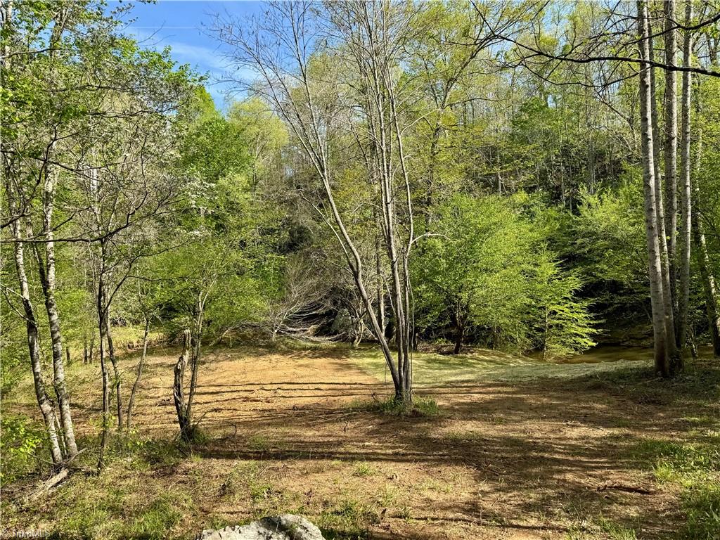 0 Otis Woods Road Sandy Ridge, NC 27046 - Photo 8 of 47