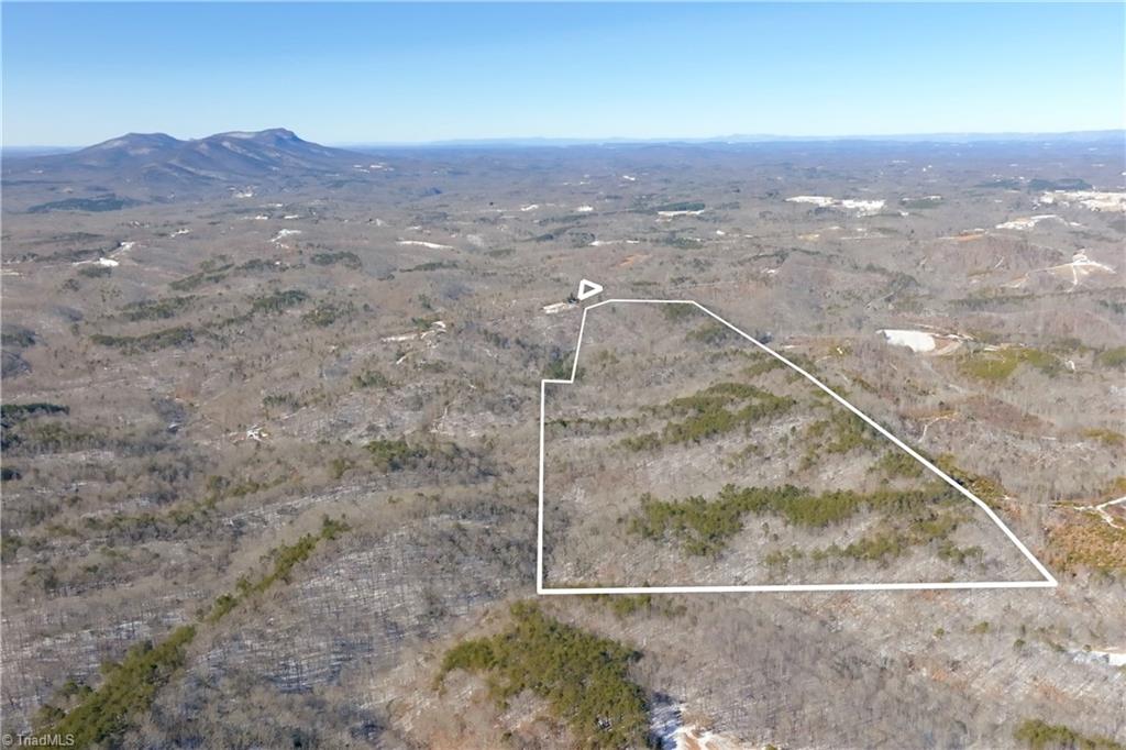 0 Otis Woods Road Sandy Ridge, NC 27046 - Photo 9 of 47