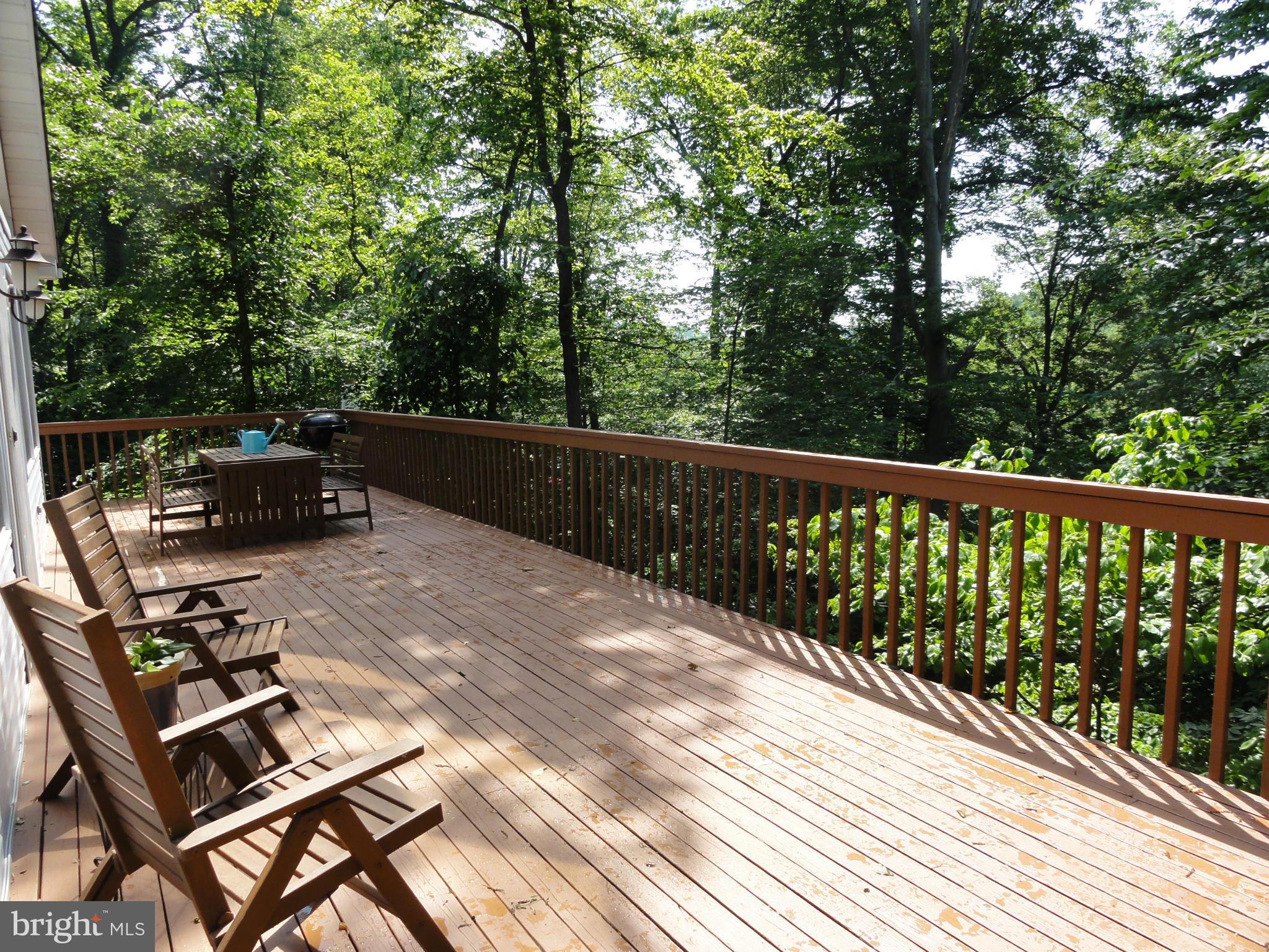 26 Codjus Drive Rising Sun, MD 21911 - Photo 11 of 29 Rear Deck Looking Over the River
