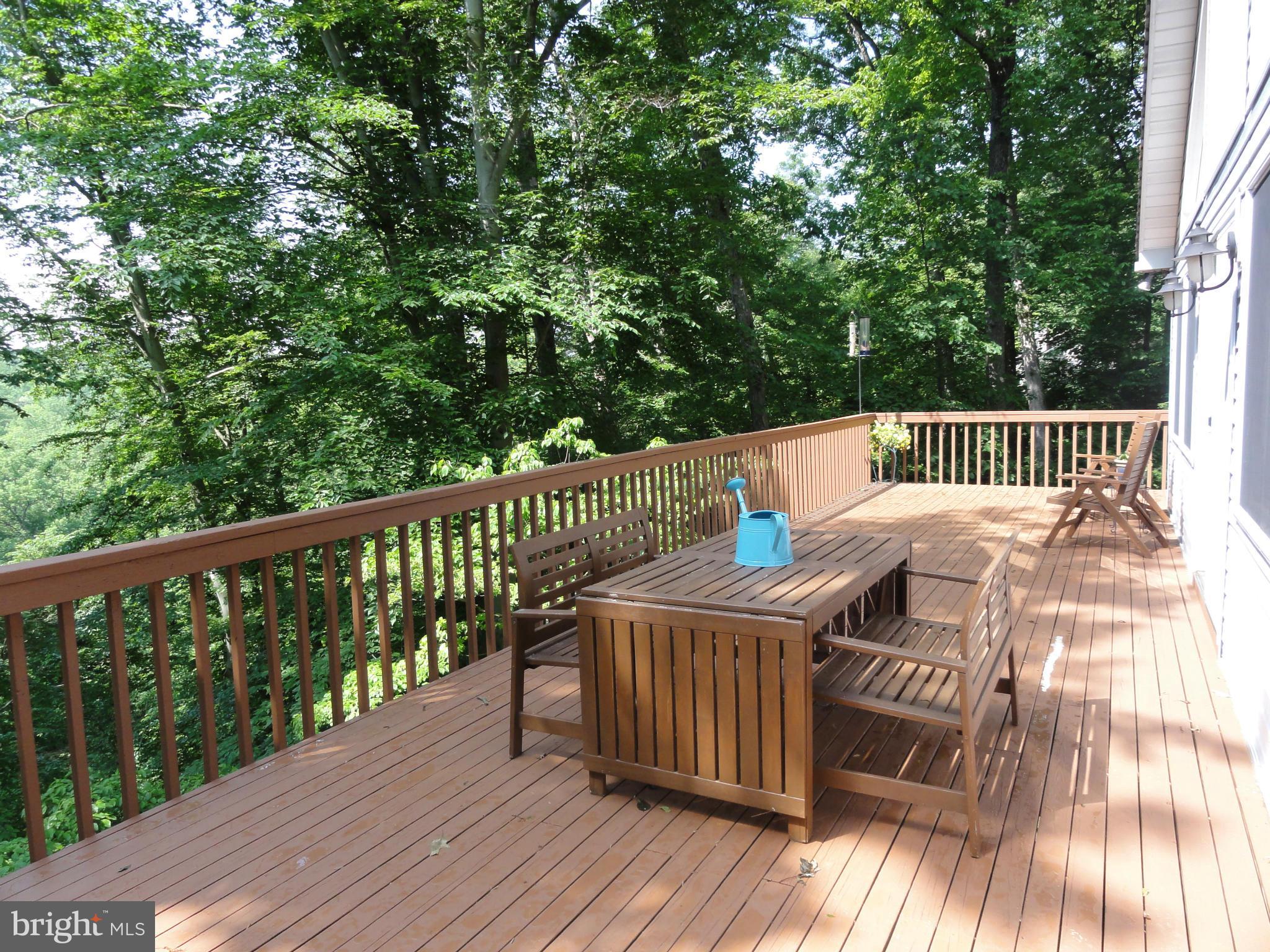 26 Codjus Drive Rising Sun, MD 21911 - Photo 12 of 29 Wrap-around Decking