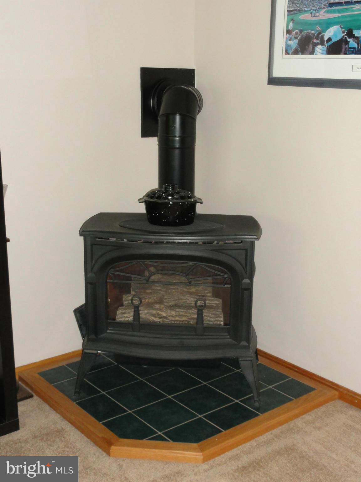 26 Codjus Drive Rising Sun, MD 21911 - Photo 19 of 29 Cozy Gas Stove