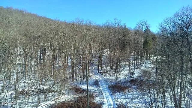 $2,868,000 | L1 Peakville Road, East Branch, NY 13756