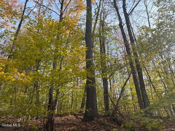 $2,868,000 | L1 Peakville Road, East Branch, NY 13756