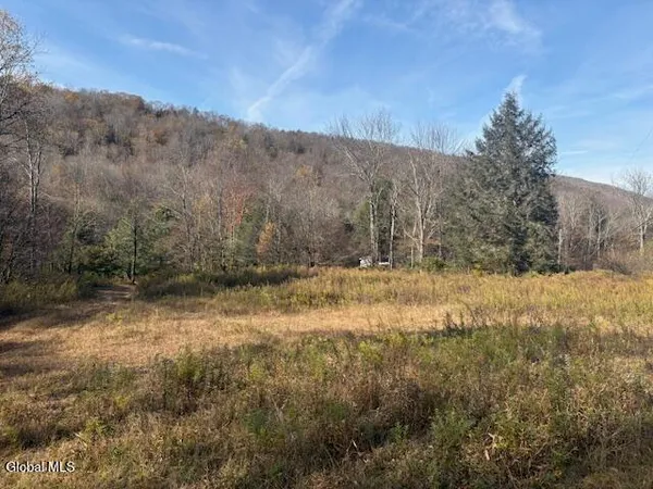 $2,868,000 | L1 Peakville Road, East Branch, NY 13756