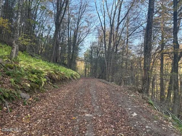 $2,868,000 | L1 Peakville Road, East Branch, NY 13756