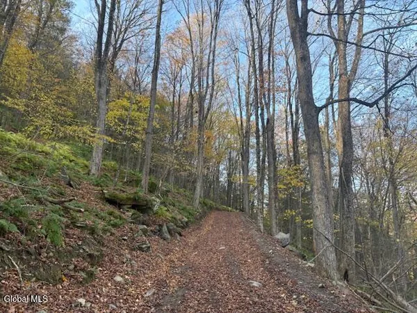 $2,868,000 | L1 Peakville Road, East Branch, NY 13756