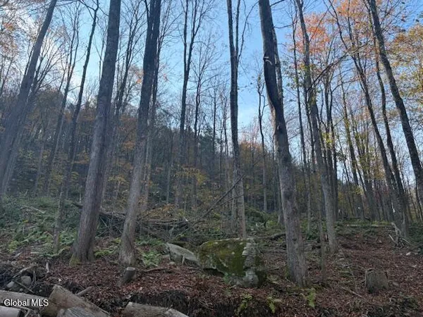 $2,868,000 | L1 Peakville Road, East Branch, NY 13756