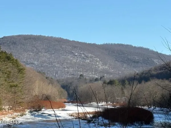 $2,868,000 | L1 Peakville Road, East Branch, NY 13756