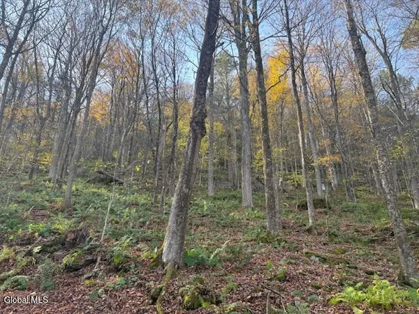 $2,868,000 | L1 Peakville Road, East Branch, NY 13756