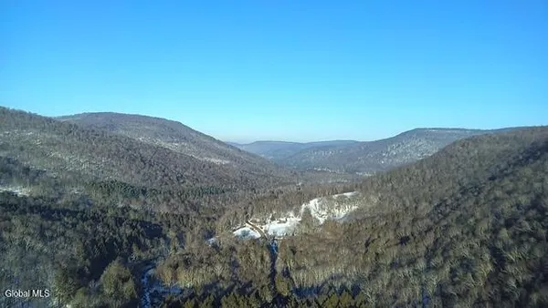 $2,868,000 | L1 Peakville Road, East Branch, NY 13756