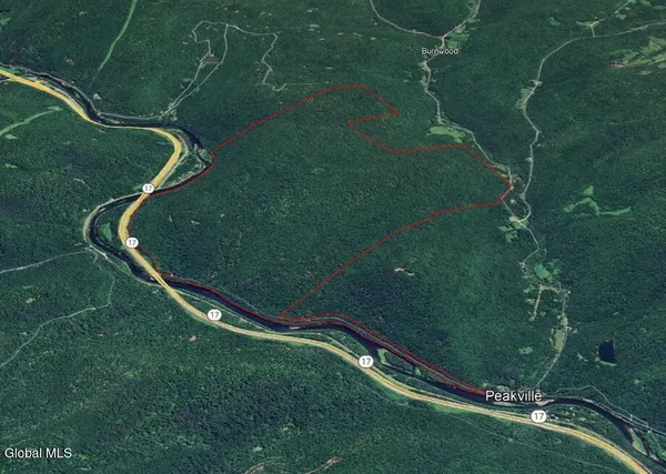 $2,868,000 | L1 Peakville Road, East Branch, NY 13756