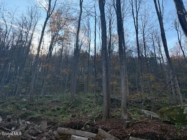 $2,868,000 | L1 Peakville Road, East Branch, NY 13756