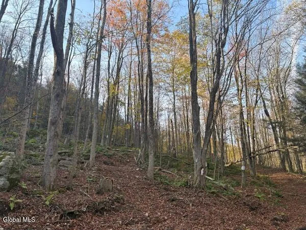 $2,868,000 | L1 Peakville Road, East Branch, NY 13756