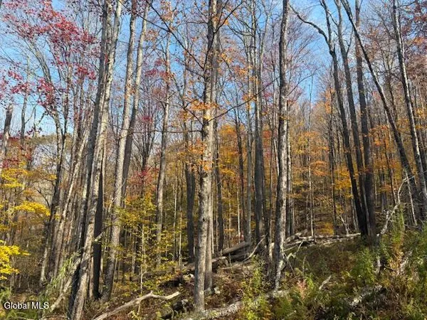 $2,868,000 | L1 Peakville Road, East Branch, NY 13756