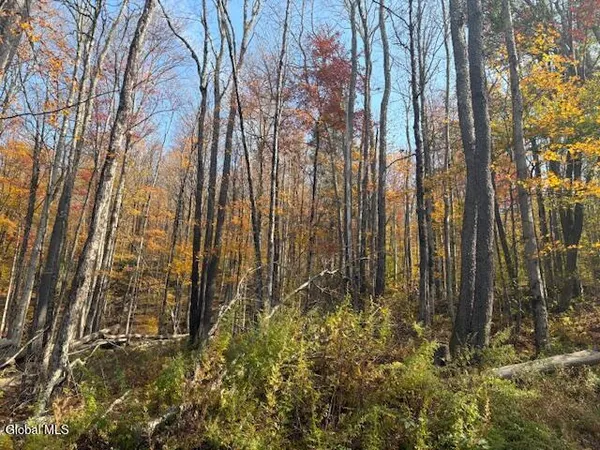 $2,868,000 | L1 Peakville Road, East Branch, NY 13756