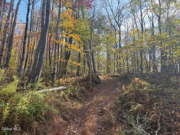 $2,868,000 | L1 Peakville Road, East Branch, NY 13756